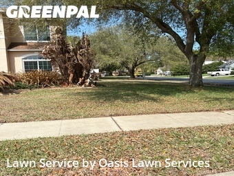 Lawn Cut nearby Lake Mary, FL, 