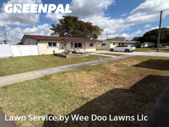 Work completed by grass-cutting-businesses-in-Hollywood-CA