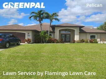 Yard Mowing nearby Cape Coral, FL, 
