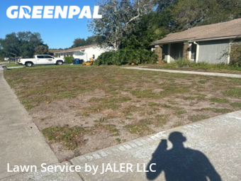 Grass Cut nearby Sarasota, FL, 