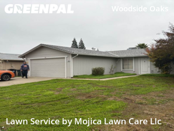 Work completed by cheap-lawn-cutting-businesses-in-Citrus Heights-CA