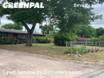 Lawn Cutting nearby Daytona Beach, FL, 