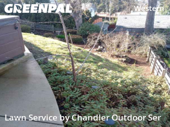 Lawn mowed in Eugene, 97405