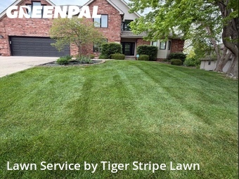 Yard Cutting nearby Papillion, NE, 