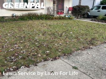 Lawn Service nearby Roseville, MI, 