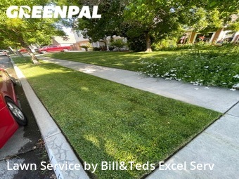 Lawn Mow nearby Kerman, CA, 