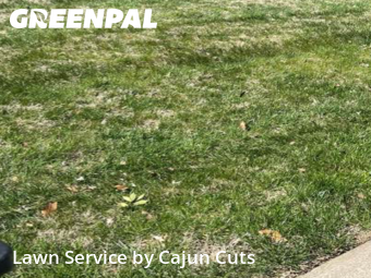 Lawn Cut nearby Murfreesboro, TN, 