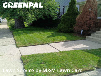 Lawn Cut nearby Calumet City, IL, 