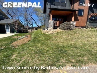 Lawn mowed in Asheville, 28803