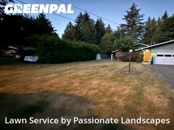Lawn mowed in Lacey, 98503