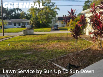 Lawn Maintenance nearby Largo, FL, 
