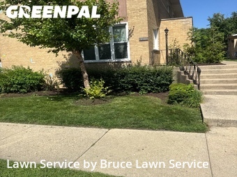 Lawn Care nearby Forest Park, IL, 