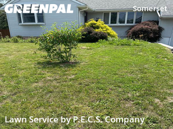 Lawn Care Service nearby Franklin Township, NJ, 