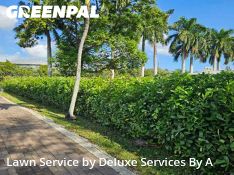 Lawn Care Servicein Fort Lauderdale,33312,Lawn Service by Deluxe Services By A, work completed in Jan , 2026