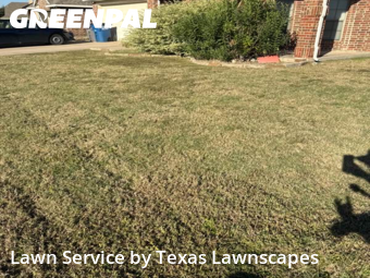 Grass Cuttingin Wylie,75098,Lawn Mow by Texas Lawnscapes, work completed in Nov , 2025