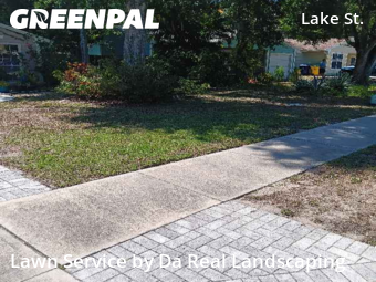 Lawn Cut nearby Palm Harbor, FL, 