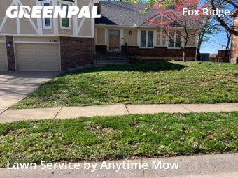 Lawn Maintenance nearby Olathe, MO, 