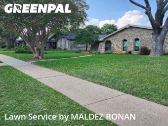 Lawn Cuttingin Richardson,75082,Lawn Care Service by MALDEZ RONAN, work completed in Dec , 2025