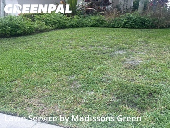 Lawn Maintenance nearby Wellington, FL, 
