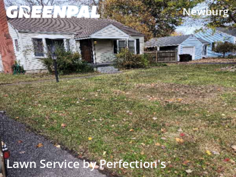 Grass Cuttingin Louisville,40213,Yard Cutting by Perfection's, work completed in Jan , 2026