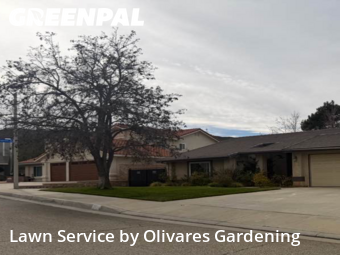 Work completed by cheap-lawn-cutting-businesses-in-Palmdale-CA