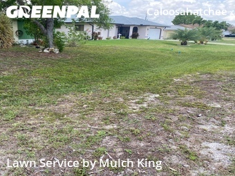 Lawn Service nearby Cape Coral, FL, 