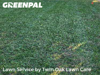 Lawn Mowing Servicein Orange Park,32065,Grass Cutting by Twin Oak Lawn Care, work completed in Oct , 2025