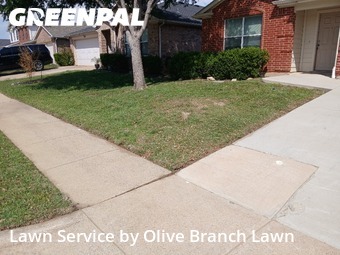 Landscaper In Fort Worth,76131,Landscaping Services by Olive Branch Lawn, work completed in Apr , 2026