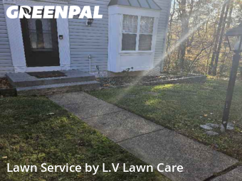 Backyard Mowing in Centreville, 20120, Mowing Services by L.V Lawn Care, work completed in Nov , 2025