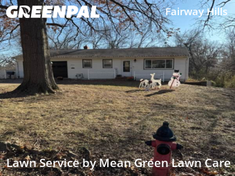 Affordable Landscaping In Kansas City,64133,Landscape Design by Mean Green Lawn Care, work completed in Jan , 2026