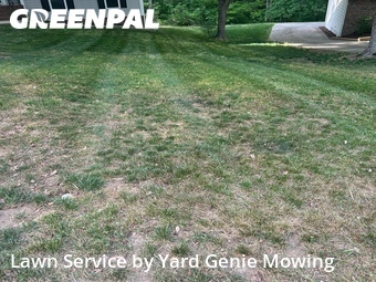 Lawn Mowing Service nearby Pineville, NC, 