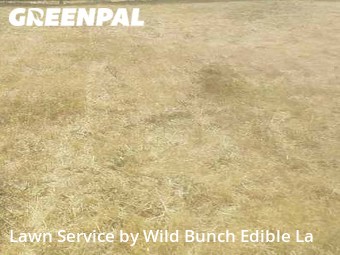 Lawn Cutting nearby Lacey, WA, 