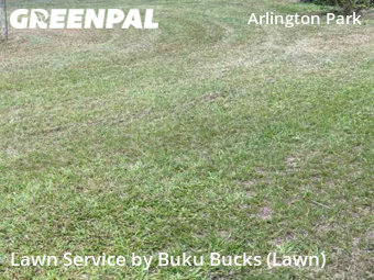 Lawn Mow nearby Cary, NC, 