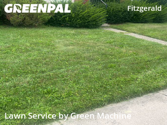 Grass Cutting nearby Warren, MI, 