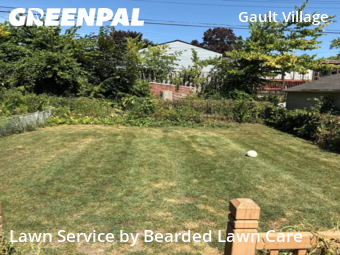 Grass Cut nearby Ypsilanti, MI, 