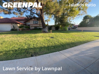 Lawn Mow nearby Gilbert, AZ, 
