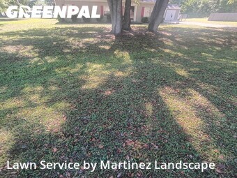Yard Mowing nearby Ocala, FL, 