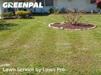 Work completed by yard-maintenance-professionals-in-Venice-CA