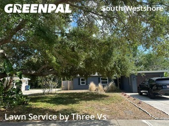 Lawn Mow nearby Tampa, FL, 
