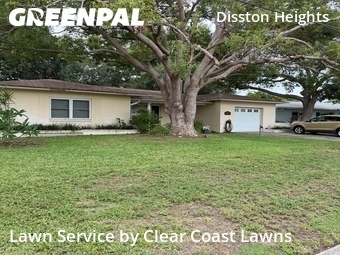 Grass Cut nearby Saint Petersburg, FL, 