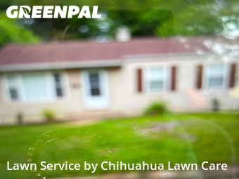Lawn Servicein Ferguson,63135,Lawn Maintenance by Chihuahua Lawn Care , work completed in Jun , 2026