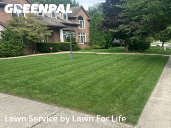 Lawn Mowing nearby Troy, MI, 