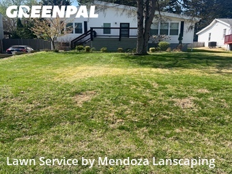 Grass Cutting nearby Silver Spring, MD, 