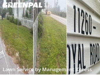 Weed Trimming in Punta Gorda, 33955, Backyard Mowing by Management Xpress , work completed in Nov , 2025