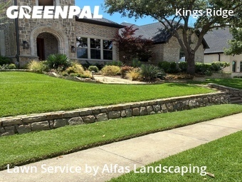 Lawn Mowin Plano,75024,Lawn Maintenance by Alfas Landscaping, work completed in Jun , 2026