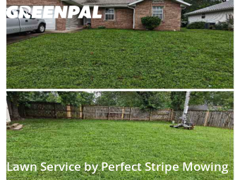 Grass Cut nearby Springfield, MO, 