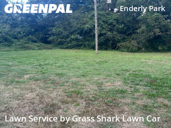 Grass Cut nearby Charlotte, NC, 