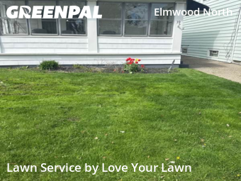 Grass Cutting nearby Buffalo, NY, 