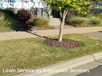 Yard Cutting nearby Rock Hill, NC, 