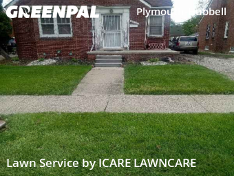 Lawn Service nearby Detroit, MI, 